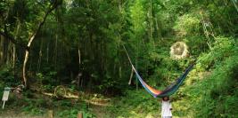 kozuka-art-festival-2010